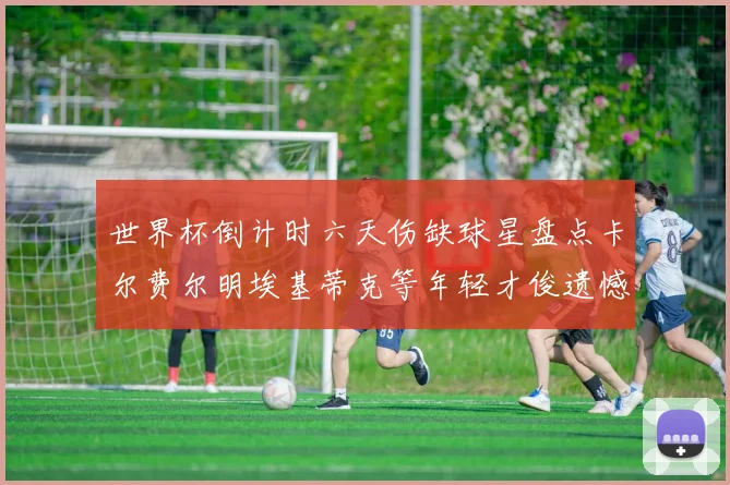 世界杯倒计时六天伤缺球星盘点卡尔费尔明埃基蒂克等年轻才俊遗憾缺席