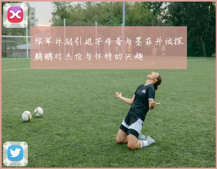 绿军计划引进字母哥与墨菲并试探鹈鹕对杰伦与怀特的兴趣
