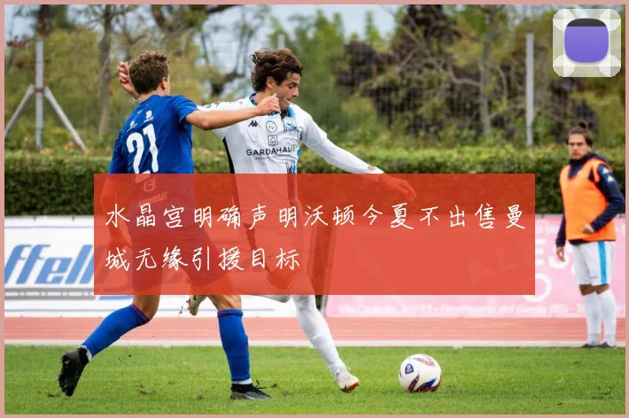 水晶宫明确声明沃顿今夏不出售曼城无缘引援目标
