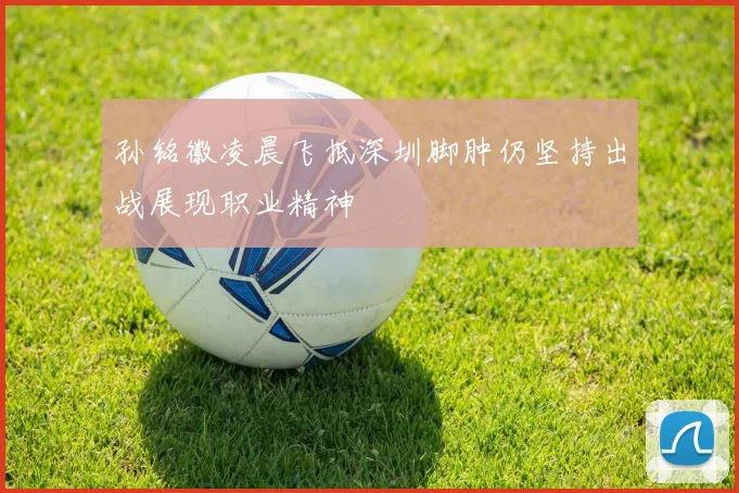 孙铭徽凌晨飞抵深圳脚肿仍坚持出战展现职业精神